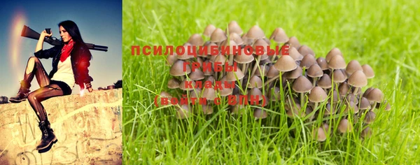МДПВ Костерёво