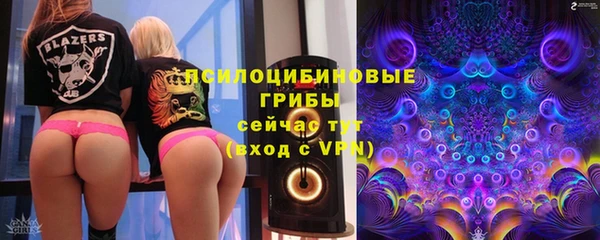 сатива Кинешма