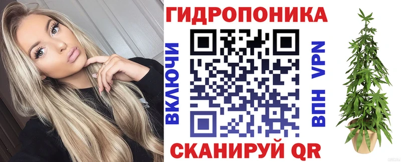 Канабис OG Kush Лакинск